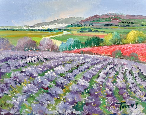 Lavender Hues by Torres - Original Painting on Stretched Canvas